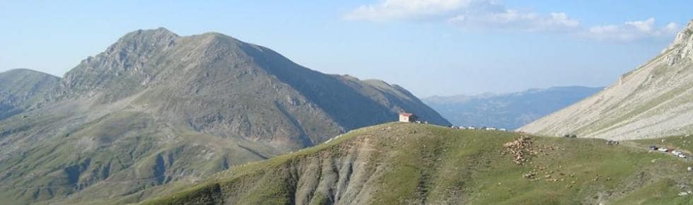 ΑΠΟΣΤΌΛΟΥ ΙΩΆΝΝΗΣ